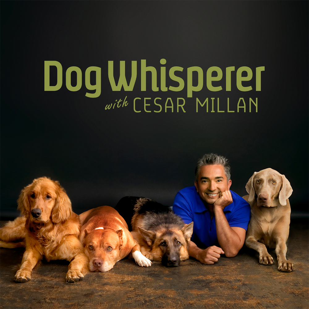 Dog Whisperer