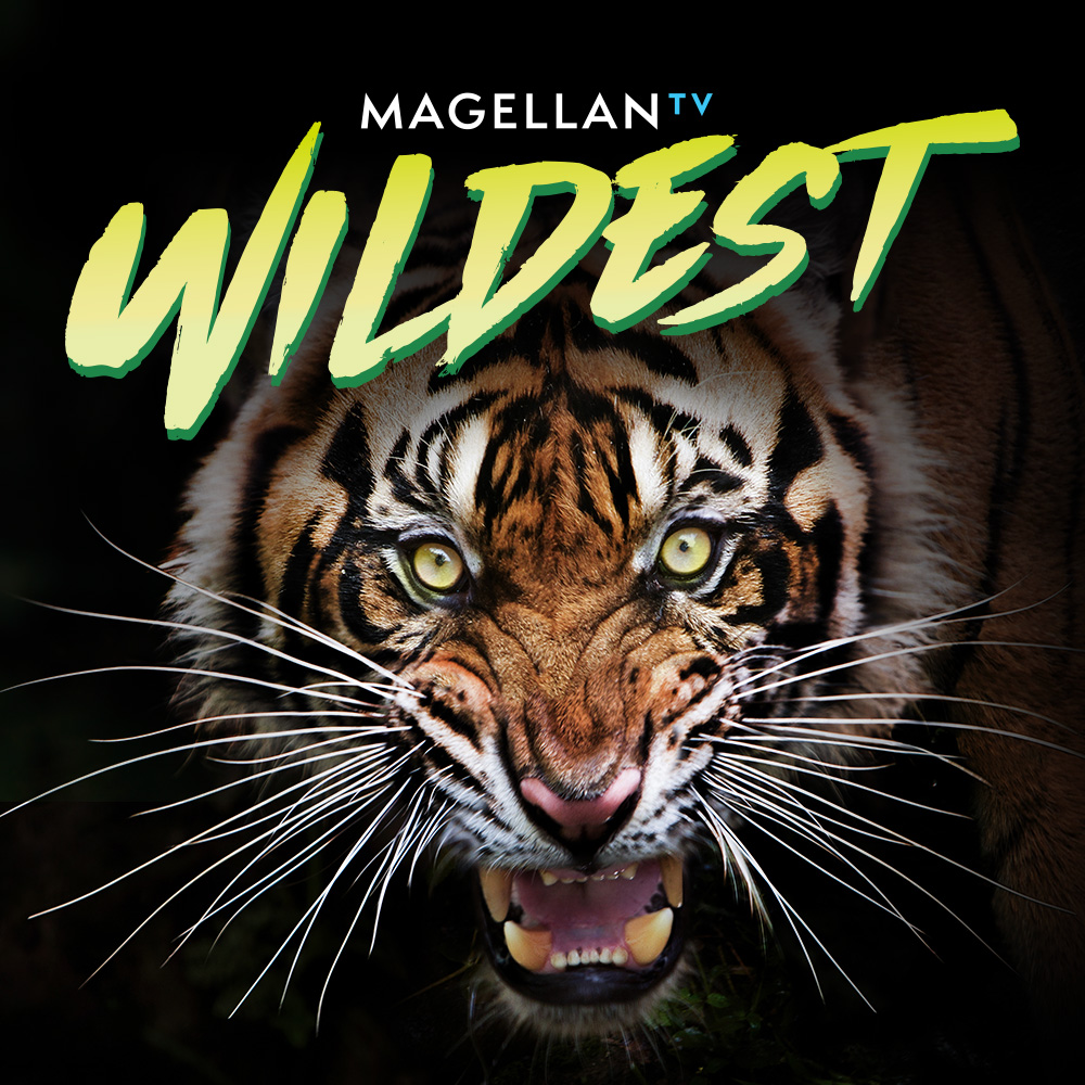 MagellanTV Wildest