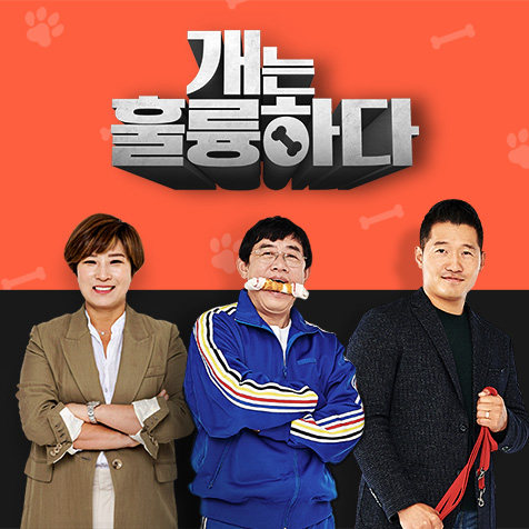 KBS 개는 훌륭하다