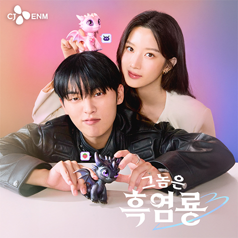 tvN 그놈은 흑염룡