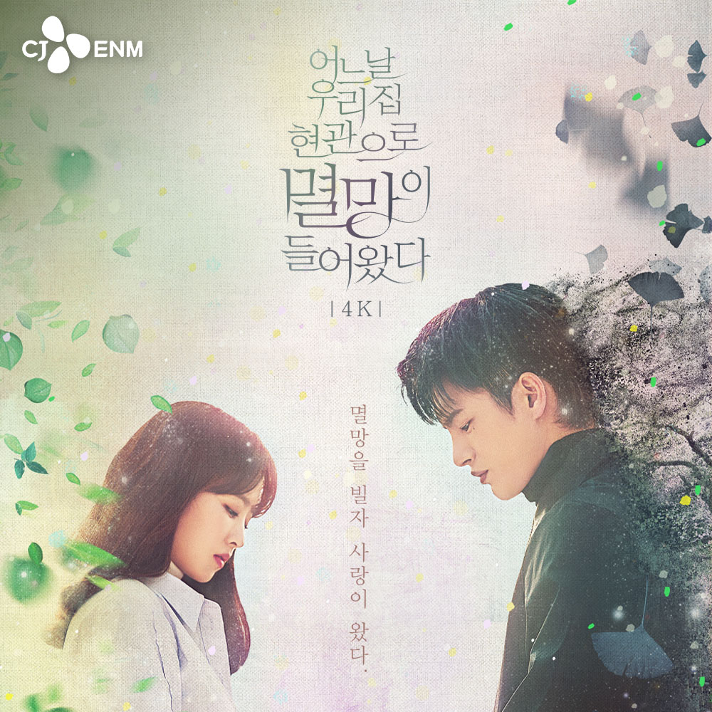 tvN 어느날 우리집 현관으로 멸망이 들어왔다 4K