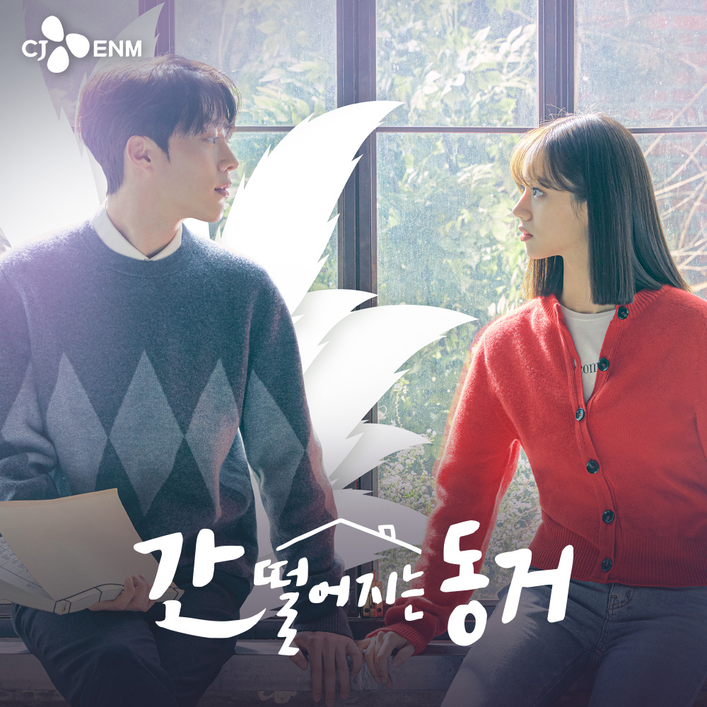 tvN 간 떨어지는 동거