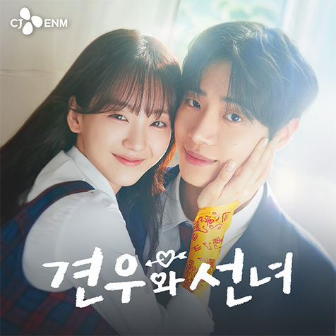 tvN 견우와 선녀 - 견우와 선녀 9회