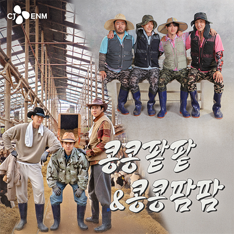 tvN 콩콩팥팥 & 콩콩팜팜