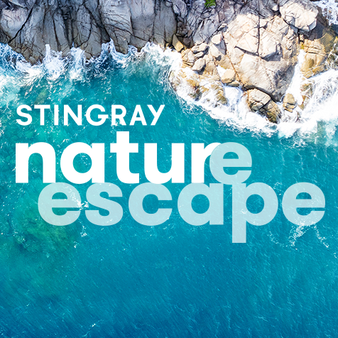 Stingray Naturescape