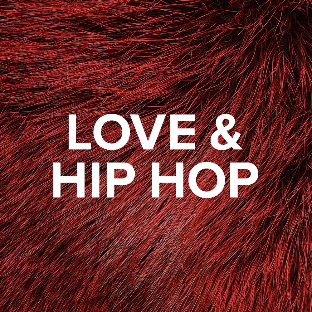 Love & Hip Hop
